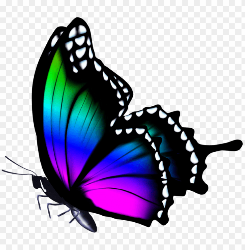 Free Colorful Butterfly Clipart